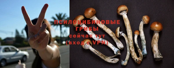 прущая мука Белокуриха