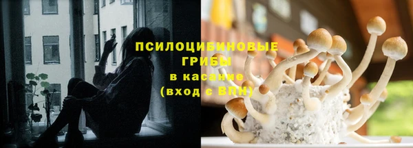 сатива Осташков