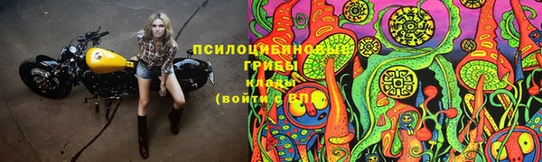 прущая мука Белокуриха