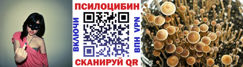 Галлюциногенные грибы прущие грибы  мега ссылки  Балабаново 
